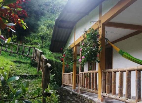 Eco-Cabaña Termales Santa Rosa