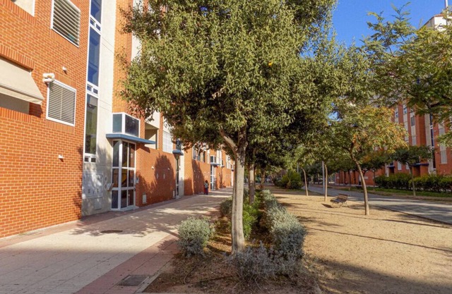 Elcano tourist apartment