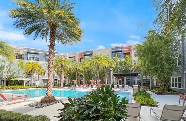 Elegant, Sophisticated Living in Central Tampa