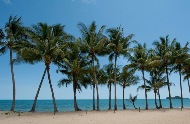 Ellis Beach Oceanfront Bungalows