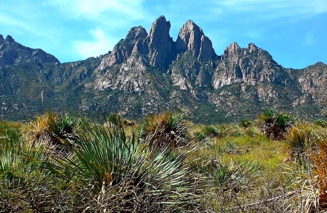 Encanto de Mesilla - Comfort and Taste!