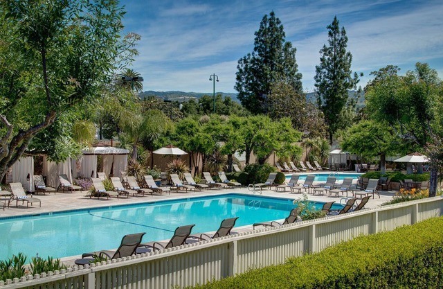 Enjoy the Vineyards of Northern California! 4 Convenient Suites w/Kitchens!