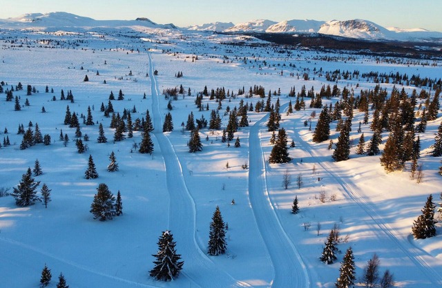 Enjoy your stay in this beautiful holiday home, an oasis of relaxation.