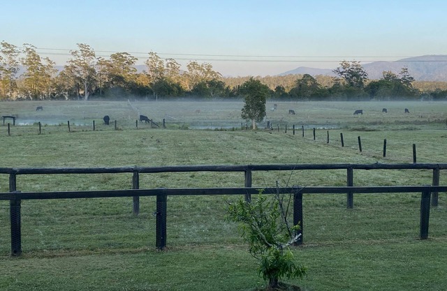 Escape on 50 acres on the Buladelah river. Accommodation for upto 10 people.