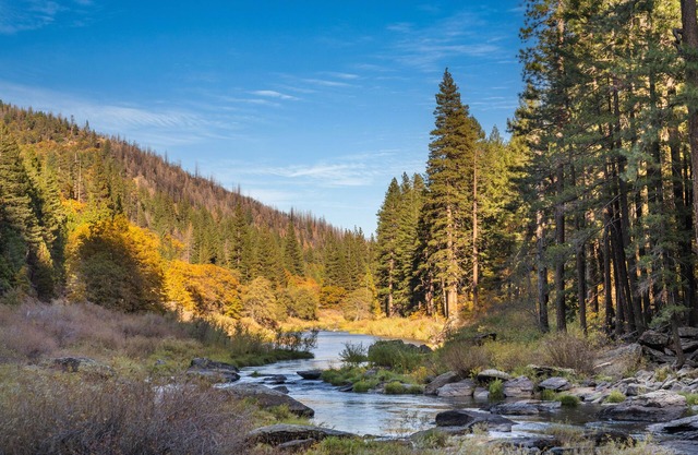 Escape to the Cabin, 1GB Ultrafast WiFi, in Plumas National Forest