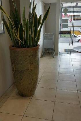 Executive Celita Franco