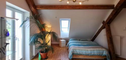 Exklusive Penthouse Wohnung, nahe zur Schweiz