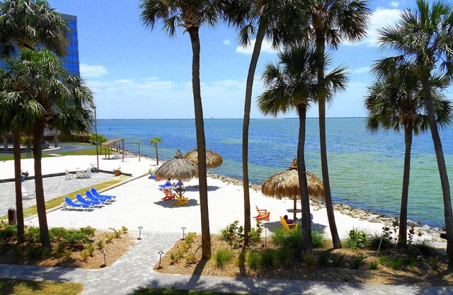 Experience All Of What Tampa Has To Offer! Full Kitchen, Free Parking, Pool