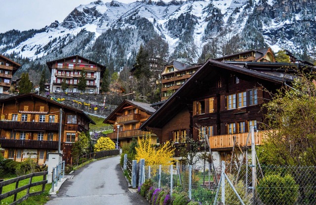 Experience Livermore from our pet friendly rooms !