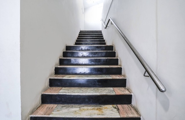 Fabexpress Raj Tourist