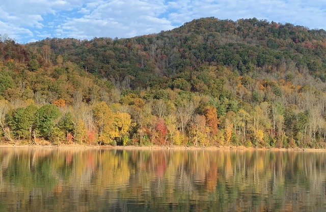 Fall for Lakefront Bear Cub Cabin on Watauga Lake