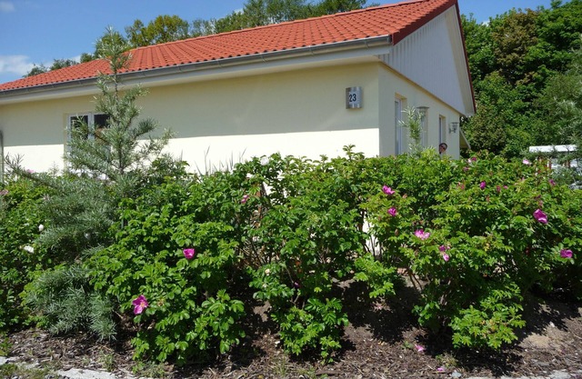 family-friendly, comfortable accommodation, 2 terraces, 200 m to the beach