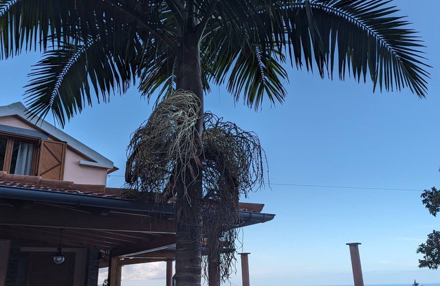 Fantastic holiday house next to lourisilva mountain, with sea view