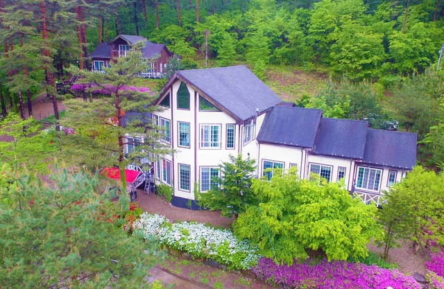 Fantasy Castle Pension