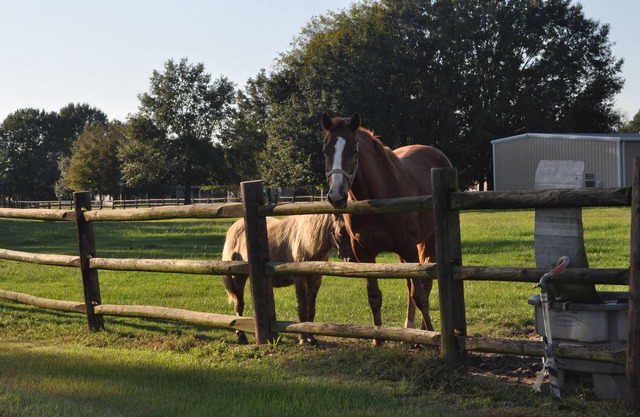 Farm Charm Enjoy the Great Scenery
