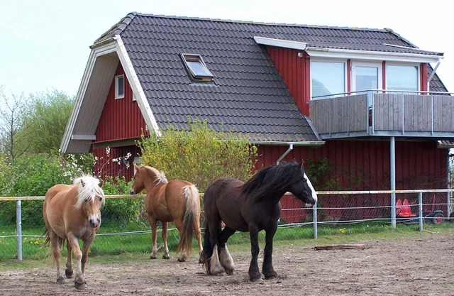 Farm Holidays - Apartment