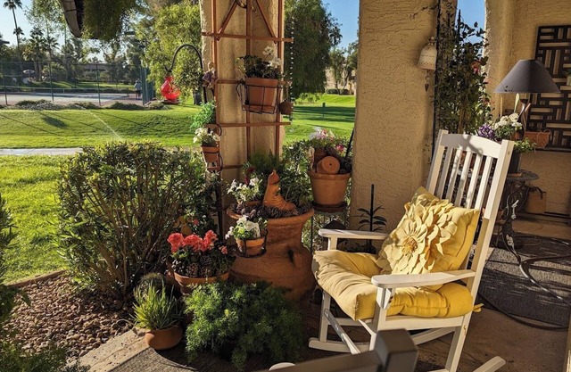 February in the desert. Charming 1-bedroom condo in delightful Scottsdale