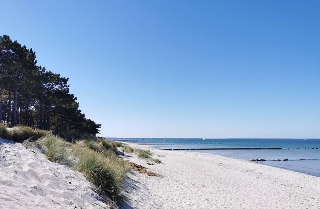 Ferienhaus für 8 Gäste mit 100m² in Klausdorf