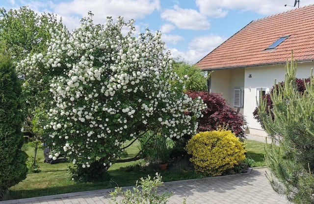 Ferienhaus Ruhe Oase im Bayerischen Wald