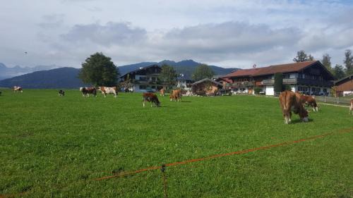 Ferienwohnung Max Hofreiter