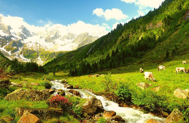 Ferienwohnung/app. für 5 Gäste mit 55m² in Niedermauern