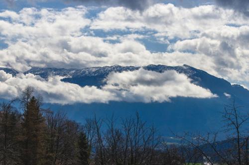 Ferienwohnung Kaiserblick
