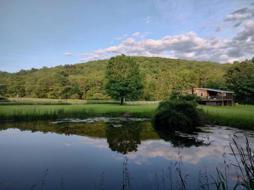 Fern Hollow Home