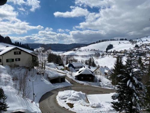 Fewo Herzgrün - zu Fuß zu Lift & Loipe traumhafte Aussicht mit Sauna im Haus Tiefgarage E-Ladestation