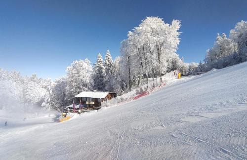 Finish Line Guest House