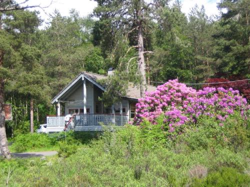 Fjordhytte-40 im Vestland - Hordaland nahe Rosendal