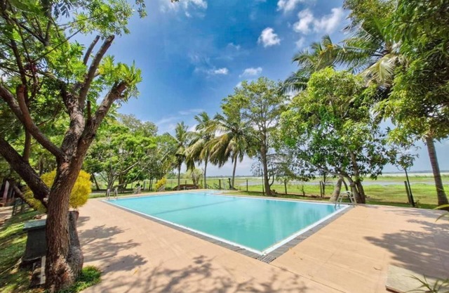 Flamingo Lake Resort