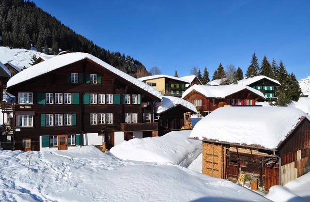 Flat West in the Chalet bim Chilchli