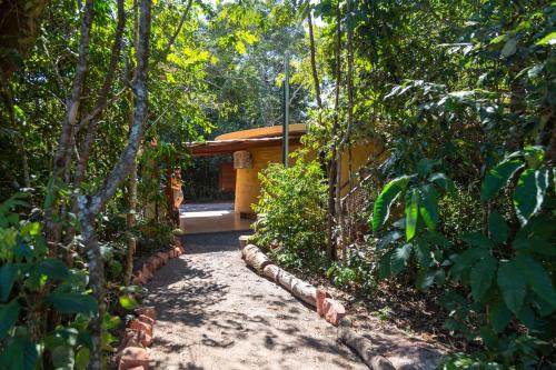 Floresta Encantada