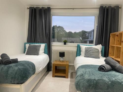 Forest and City Escape Apartment Sleeps 6
