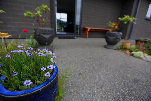 Forest Charm by the Beach