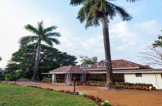 Forest Trails Adventure Resort