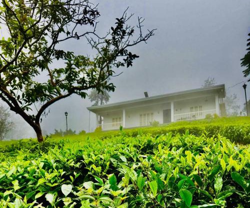 Four Winds Plantation Homestay Approved by Dept of Tourism Govt of Kerala