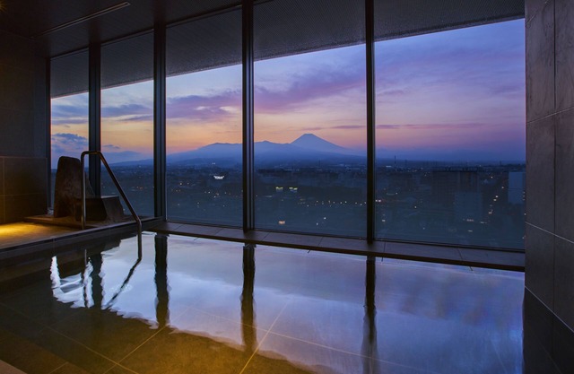 Fujisan Mishima Tokyu Hotel