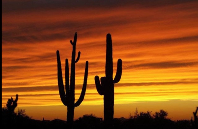FUN IN THE ARIZONA SUN! HEATED POOL! POOL RESURFACED AND RETILED JUNE 2025 😁