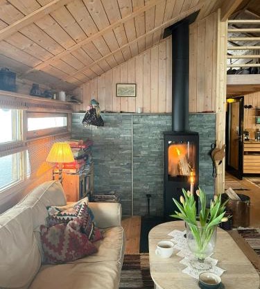 Furuly Cabin At Sangefjell, Peace And Nature