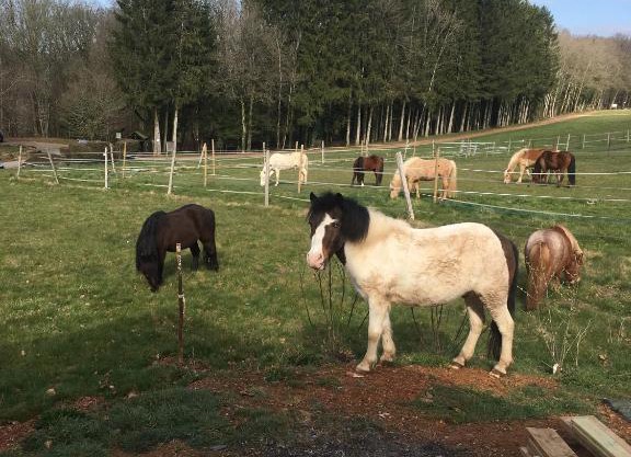 Gîte Le clos du bannet