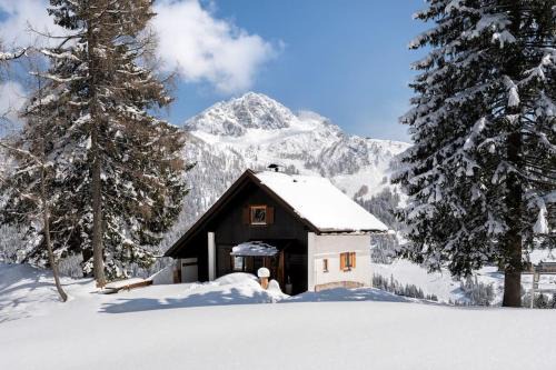 Gemütliche Skihütte an der Piste Ski-in & Ski-out