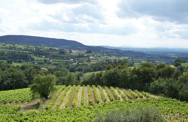 Gîte in Provence in the heart of the vineyards
