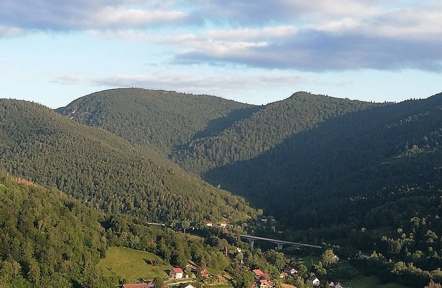 GITE - THE HOUSE OF HAPPINESS - AT THE BUSSANG BALCONIES