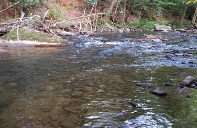 Glarus - Riverside 36' RV, trout stream firepit