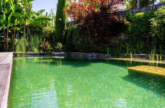Gondomar Guimarães - Moradia V3 com piscina natural by House and People