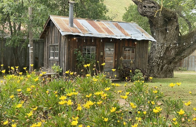 Gorgeous Cabin on historic Ranch just five minutes from town