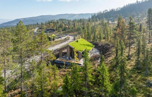 Gorgeous Home In Nesbyen With Wifi