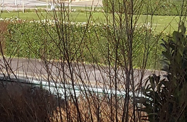 Grand Pavillon Avec Jardin vue sur mer