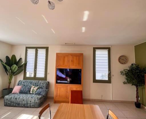 Grand Appartement lumineux